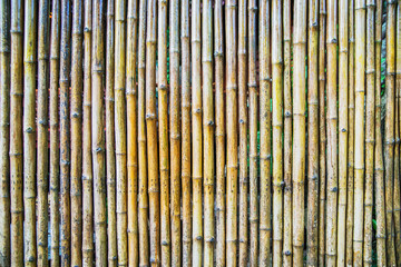 Natural bamboo background.