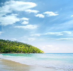 Tropical forest, sea coast and mountains. Siamese bay, Phangan,