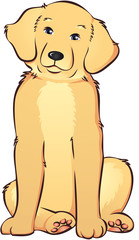 Hundewelpe wartet auf Adoption