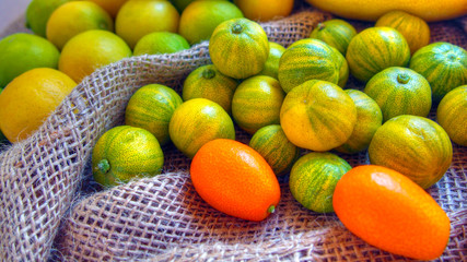Different citrus fruits