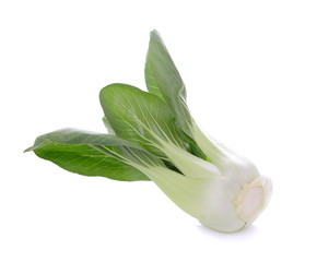 Bok choy (chinese cabbage) isolated on white