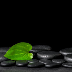 Fototapeta na wymiar spa background of zen stones and green leaf on black background