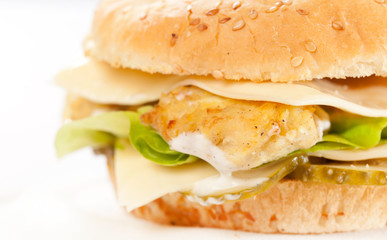 cheeseburger on the plate
