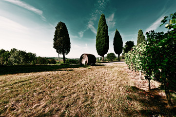 Barrel