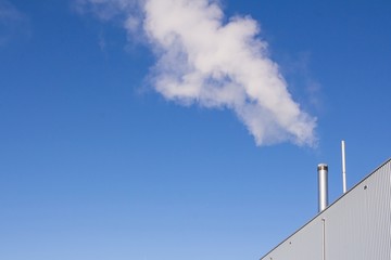 Water vapor or steam form a biomass power station