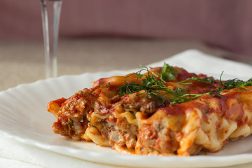 Meat cannelloni on white plate