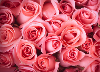 pink rose flower bouquet vintage background