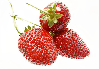 frische rote Erdbeeren zum Freistellen