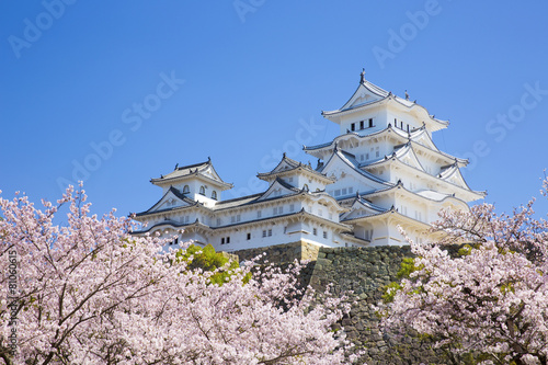 修理完成後の姫路城と桜 Wall Mural Wallpaper Murals Tsuboya