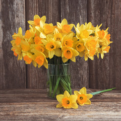 Bouquet of fresh spring narcissus on wooden background