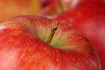 Macro roter Apfel Frucht