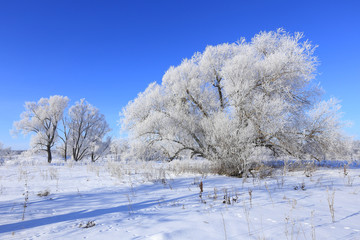 Obraz premium winter landscape