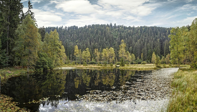 Ellbachsee, Karsee mitten im Schwarzwald