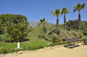 Lonely bench  in the promenade of Marbella, Spain