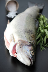 Fresh trout