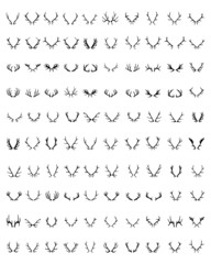 Black silhouettes of different deer horns, vector