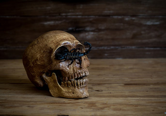 Still life.Skull resting on old wooden floor in front of a scorp