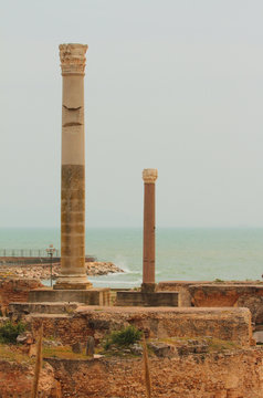 Ruins of Roman Carthago, bath Antonija Pia. La Gulett, Tunisia