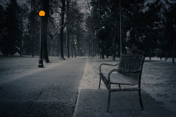 Park Bench in Winter