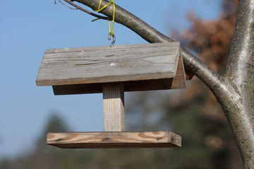 Feeder on tree in sunny day in city park