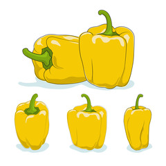 Yellow bell pepper,sweet pepper or capsicum