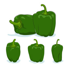 Green bell pepper,sweet pepper or capsicum