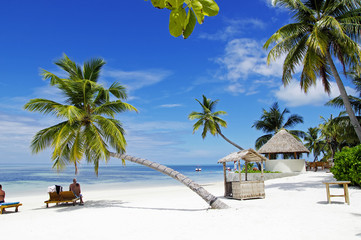 Tourists take sunbath on tropical beach on Maldives island
