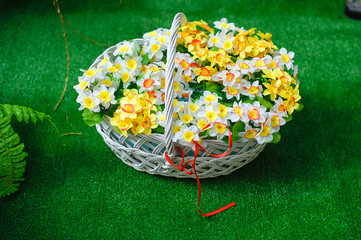Fototapeta na wymiar Basket with beautiful flowers standing on the green grass