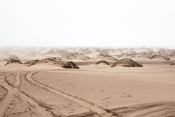 Desert tracks