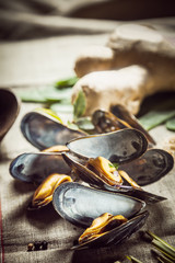 Fresh boiled mussels for a seafood dinner