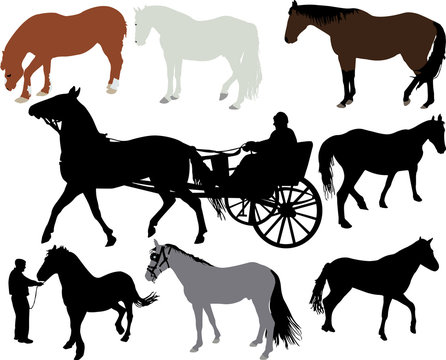 Horses vector silhouette