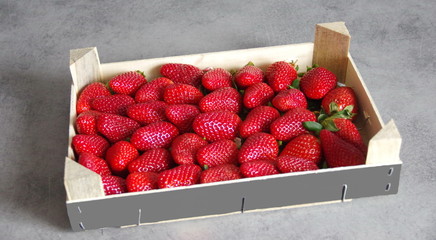 plateau de fraises