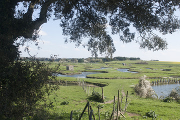 Marais de Talmont