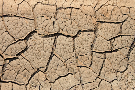 Dried soil with many cracks