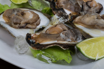 Fresh oyster