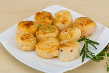 Grilled scallops