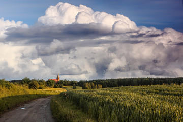 po burzy © Janusz Lipiński