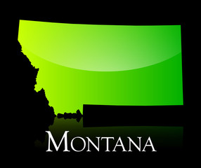 Montana green shiny map