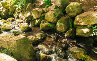 stones in woods forest. stream in gdansk oliva park.