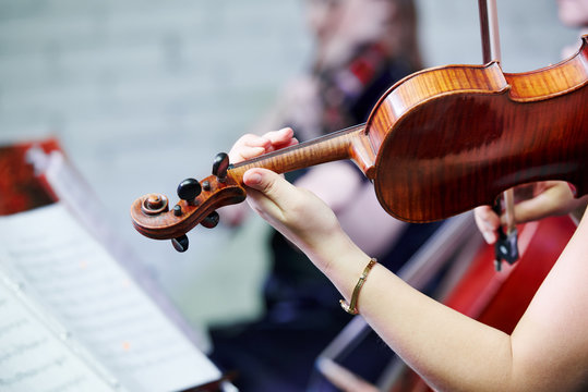 violin player musician