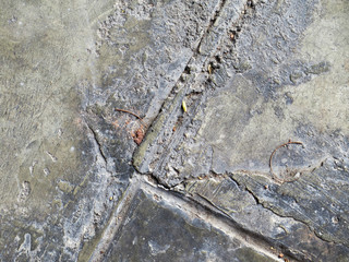 Grunge texture Background