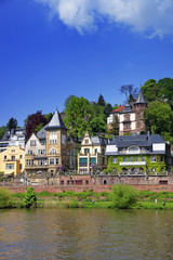 Fototapeta na wymiar Quay of the the river in summer Heidelberg