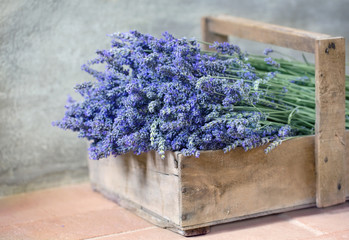Naklejka premium Bouquet of lavender flowers