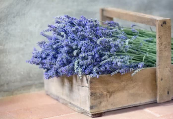 Crédence de cuisine en verre imprimé Lavande Bouquet of lavender flowers