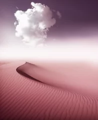  woestijnlandschap © Željko Radojko