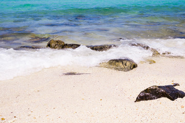 beach with rocks in water