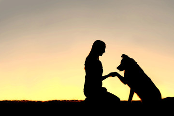 Silhouette of Young Woman and Pet Dog Shaking Hands at Sunset