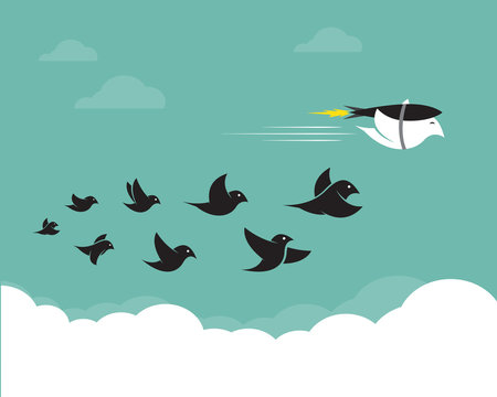 Vector images of birds and rockets in the sky.