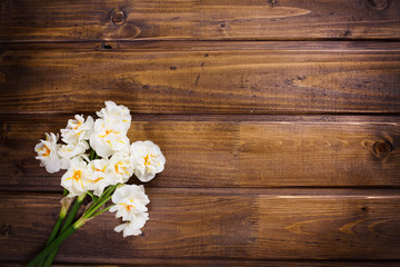 Background with fresh daffodils