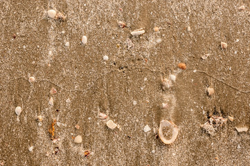 Sand texture